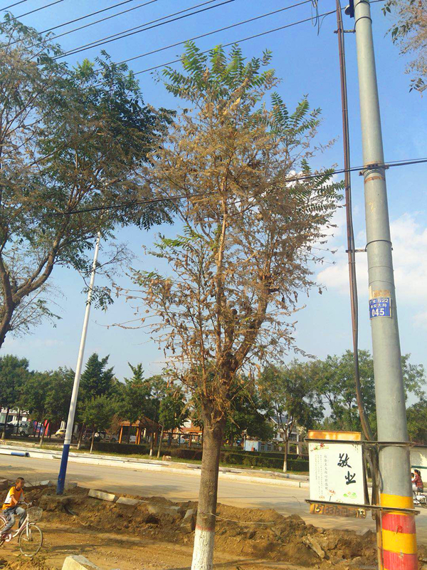 迁安信息港_20180916_152627_副本.jpg