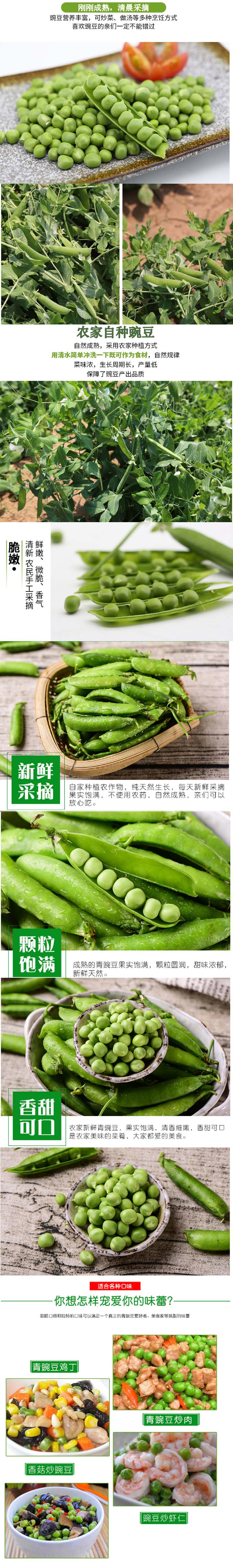 豌豆.jpg