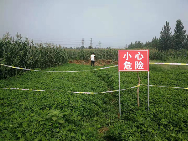 微信图片_20190805142658_副本.jpg
