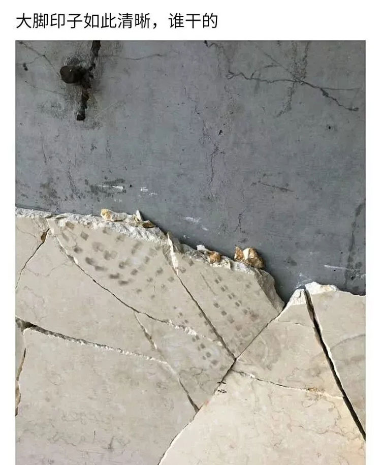 233.jpg