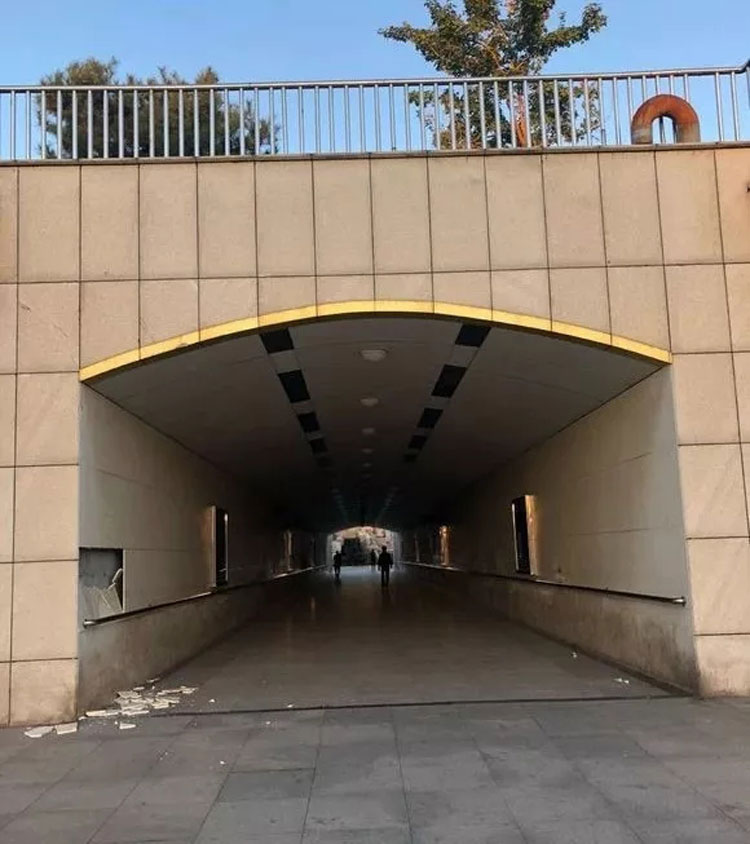 220.jpg