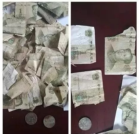 555.jpg
