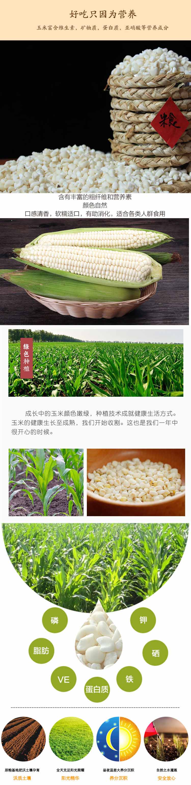 详情页后改小的尺寸.jpg